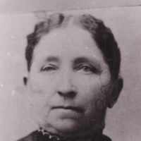 Julia Maria Dyer (1832 - 1905) Profile